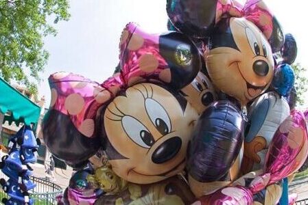 Transfer to Disneyland Paris